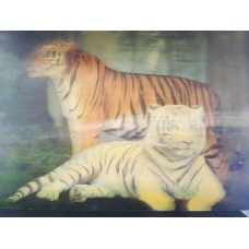 3D Lenticular lens picture-"Deer' without frame-58x38 CM -58x38 CM (CODE-(LEN0012) 3D Lenticular lens picture-"Deer' without frame-58x38 CM -58x38 CM (CODE-(LEN0012)